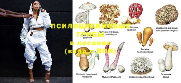 дурь Абинск