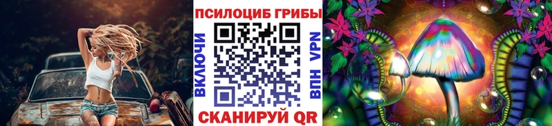 Псилоцибиновые грибы прущие грибы  Куровское 